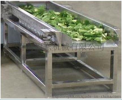 启东（QD）蔬菜震动风干沥水机械